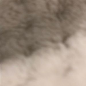 Meet your Posher, Britney